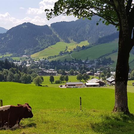 Haus Sonnleiten Maria Alm am Steinernen Meer Exterior photo