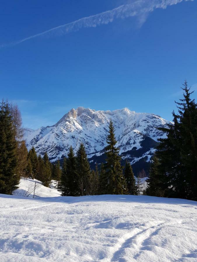 Haus Sonnleiten Maria Alm am Steinernen Meer Exterior photo
