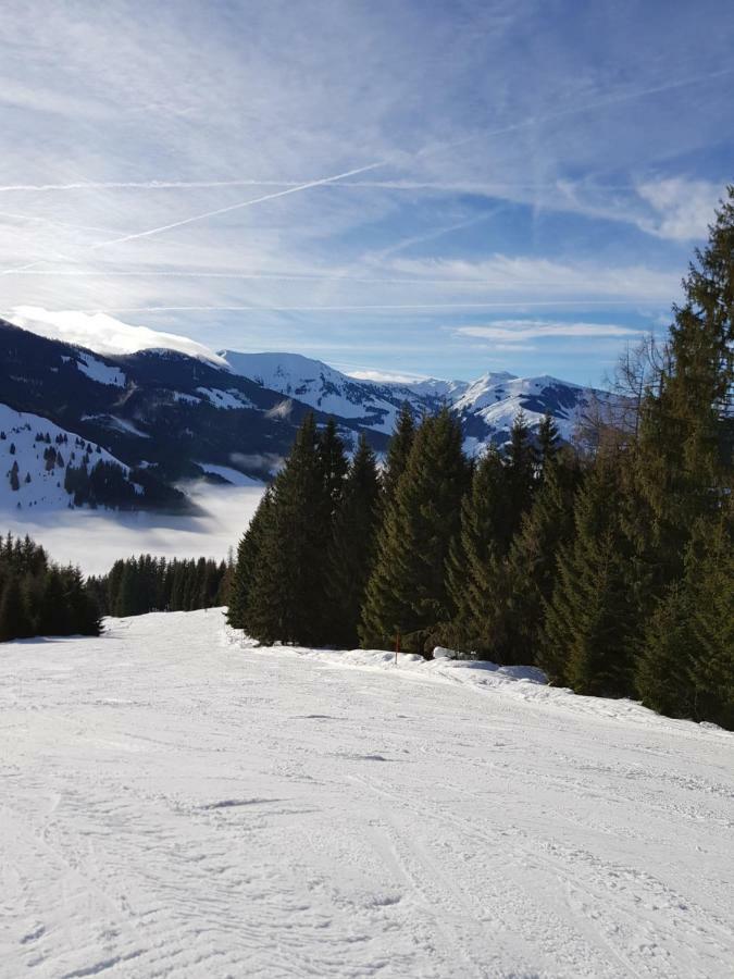 Haus Sonnleiten Maria Alm am Steinernen Meer Exterior photo
